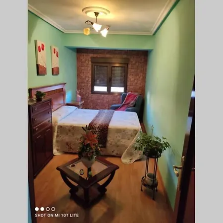 Apartment Rey Pelayo